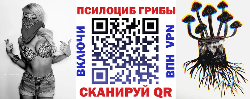 Псилоцибиновые грибы Psilocybine cubensis  наркота  Рудня 